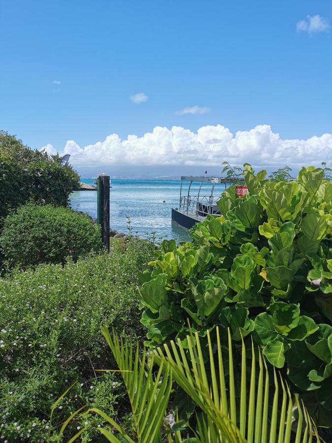 La Creole T3 Lumineux A 1Mn De La Plage Le Gosier  Exterior photo