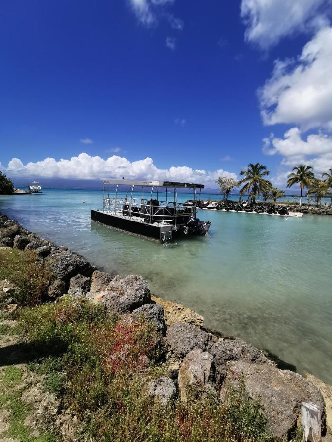 La Creole T3 Lumineux A 1Mn De La Plage Le Gosier  Exterior photo
